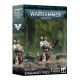 Ігровий набір GW - Warhammer 40000: Blood Angels - Sanguinary Priest
