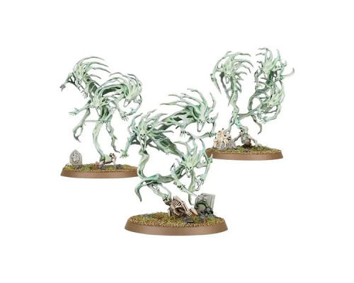 Ігровий набір GW - Age of Sigmar: Nighthaunt - Spirit Hosts